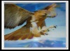 Wholesale 3D animation lenticulars products
