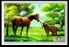 Wholesale 3D lenticular art pictures of non -toxic PET