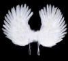 Angel wings