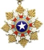 New United States Military Metal badge