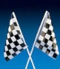 Plastic Flag