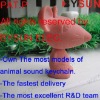 Wholesale (PAT.P) customized led animal sound keychain are welcome(BYSUN)
