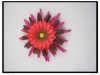 new !! pretty colorful fabric /silk flowers with serval layout design for diy scrapbooking accessory AF-11138