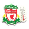 Wholesale 2010 world cup scarf,gifts,souvenir