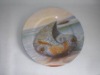 Wholesale plate w/printed paper