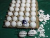Wholesale Egg shell,duck eggshell, goose eggshell