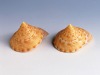 Natural Sea Shell conch craft -- Aquarium decoration