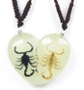 Wholesale Natural craft--Real scorpion necklace