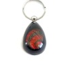 Wholesale amber Key chain - K08 series - shell jewelry