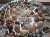 Wholesale Natural Starfish seashell conch craft -- Aquarium decoration