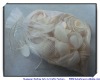 Wholesale SHELLS