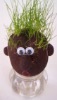Wholesale plant craft
