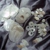 Wholesale shell accessories