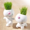Wholesale Grass head ,grass doll,little garden,gift,grass dolls