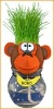 Wholesale mini plant doll