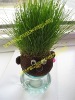 Grass head,grass toy,grass doll