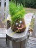 Grass toy,grass head,grass doll