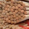 Natural wooden broom handle having screw