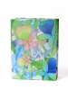 Wholesale 2010 PP transparent gift bag