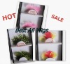 Wholesale HOT SALE feather eyelashes