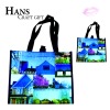 Wholesale New pp woven printed bag