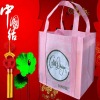 Wholesale 2011 new design High quality pp shopping bag(BS-0041)