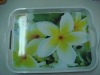 Wholesale melamine storage tray
