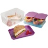 Wholesale Fit&Fresh Food Storage container
