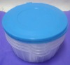 Plastic Food Container