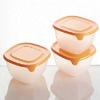 fine durable plastic food container