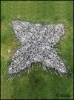 Wholesale Popular square scarf