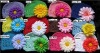 Wholesale Infant Kufi Hats