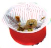 Wholesale baby cap