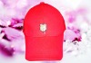 Wholesale cotton baseball cap and hat