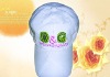 Wholesale cotton baseball cap