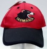 cotton baseball cap