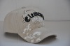 Wholesale 3D emb. baseball cap