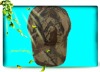 Wholesale fashion camouflage cap