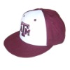 Cotton Baseball Hat