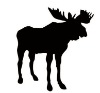 Wholesale blackboard sticker