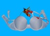 Wholesale South American Brassiere