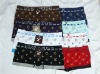 Wholesale Lovers Seamless boxer (beautifull suit)