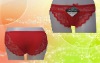 Ladies Brief