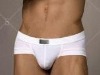 Wholesale brief