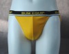 Wholesale mens brief (mens bikini , men's brief , underwear)
