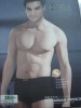 Wholesale Men's Boyleg underwear389