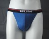 Wholesale mens brief (mens bikini , men's brief , underwear)
