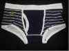 Wholesale briefs