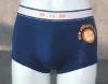 Wholesale mens brief (mens bikini , men's brief , underwear)