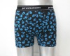 men's underpants